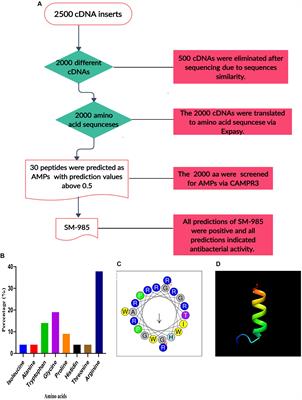 Prediction and Characterization of Cationic Arginine-Rich Plant Antimicrobial Peptide SM-985 From Teosinte (Zea mays ssp. mexicana)
